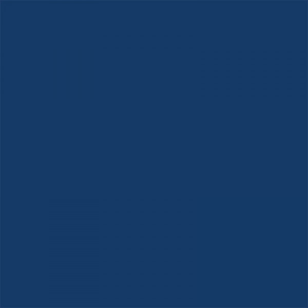 Lot de 6 Stylos roller V-Ball bleu pointe moyenne 0,7 mm Pilot