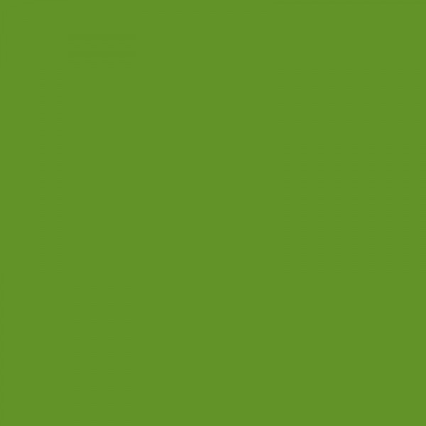 Bombe de peinture professionnelle Nespoli - vert olivier