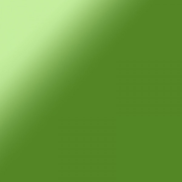 Bombe de peinture professionnelle Nespoli effet satiné vert olive