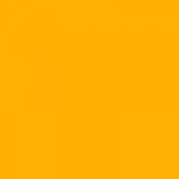 Porte-vues - 60 vues - 30 pochettes - Jaune - A4 - Souple - Exacompta