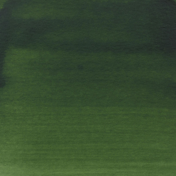 Encre - Acrylique - Vert olive - 622 - Amsterdam - Flacon 30ml - Beaux-arts
