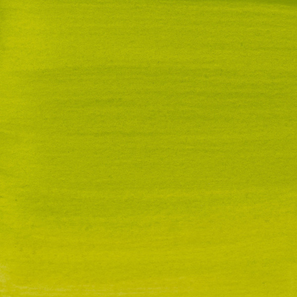 Encre - Acrylique - Vert olive clair - 621 - Amsterdam - Flacon 30ml - Beaux-arts