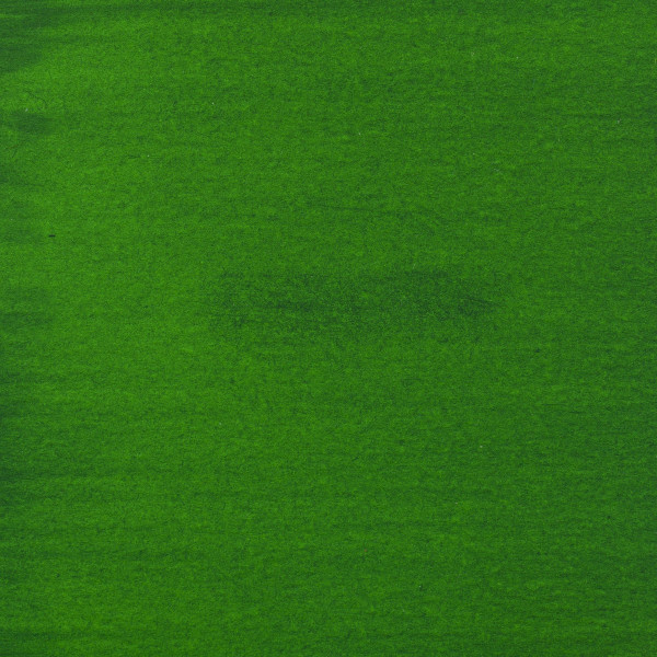 Flacon encre acrylique Acrylic Ink Amsterdam 30ml vert permanent clair