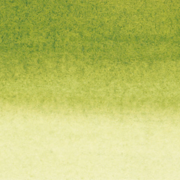 Encre - Vert olive - 813 - Calligraphie - Sennelier - Flacon de 30ml - Beaux-arts