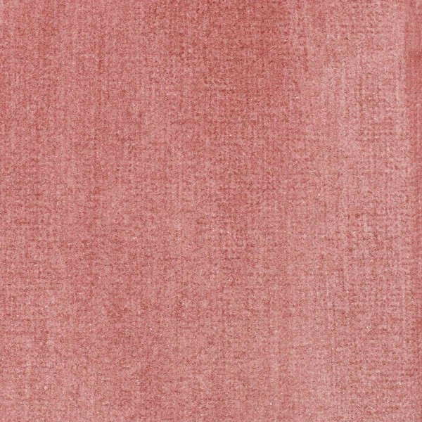 Encre - Acrylique - Rose feutré - 504 - Liquitex - Flacon 30ml - Beaux-arts