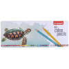 photo-Crayons de couleurs - Boîte métal de 45 couleurs - Coloriage, bullet journal - Bruynzeel