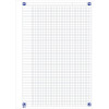 Cahier - A4 (21x29,7cm) - Grands carreaux - 160 pages - couverture en polypro - à spirale - Oxford