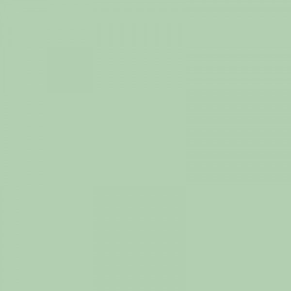 Ramette de papier - A4 - Vert pastel - 160g - Impression - 250 feuilles - Clairefontaine Trophée