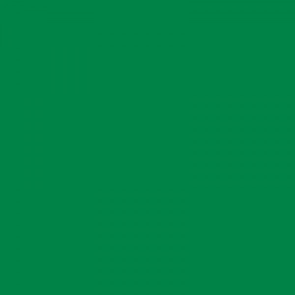 Protège-cahier 21 x 29,7 cm A4 plastique vert Apli