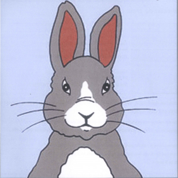 Kit de canevas pour enfant Seg de Paris motif lapin