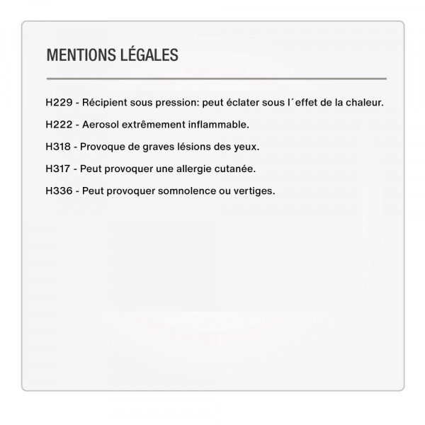 Bombe de peinture pour radiateur - gris - 400ml - MTN Pro