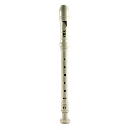 Flûte plastique doigté baroque et écouvillon