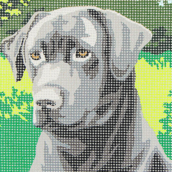 Kit complet canevas 15 x 20 cm motif chien labrador