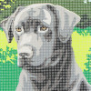 Kit complet canevas 15 x 20 cm motif chien labrador