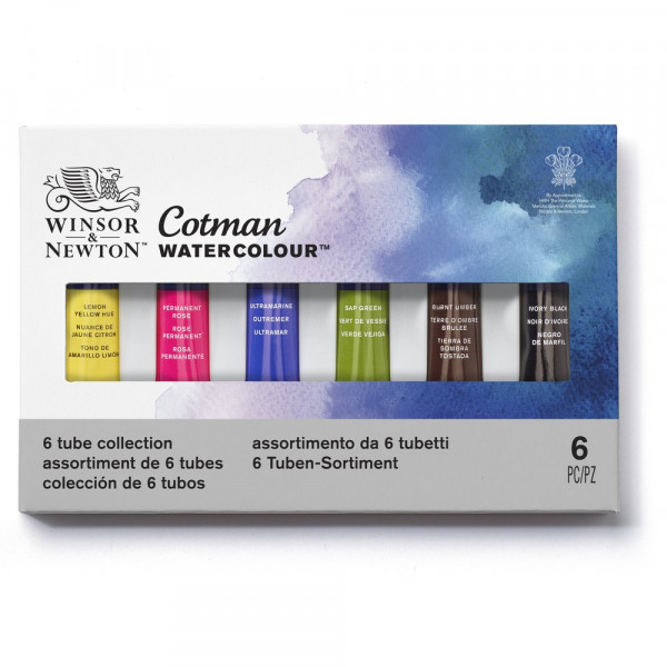 Boîte de 6 tubes de peinture aquarelle Cotman Winsor et Newton 8ml