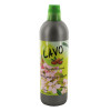photo-Produit nettoyant - Multi surfaces - Parfum amande - Lavo Fruit - Bidon 1L