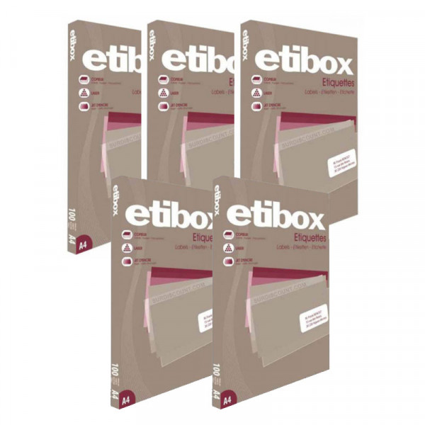 Lot de 5 boîtes 600 étiquettes n°6 Etibox Apli 100324