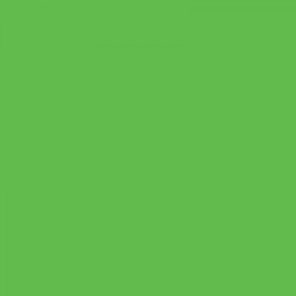 Encre - Acrylique - Vert jaune - 871 - Sennelier - Flacon 30ml - Beaux-arts
