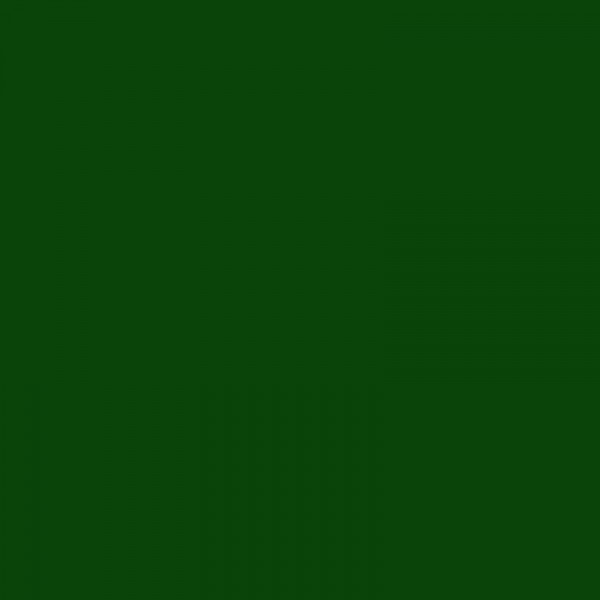 Bombe de peinture professionnelle Nespoli Bravo vert jardin RAL 6001 600ml