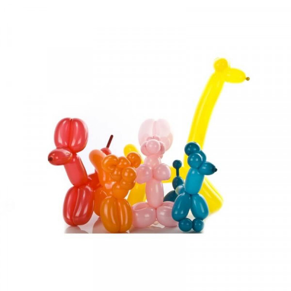10 ballons à modeler avec pompe