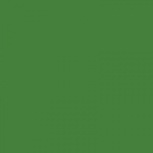 Bombe de peinture - Vert vallée - RV-6018 - MTN 94 - 400ml