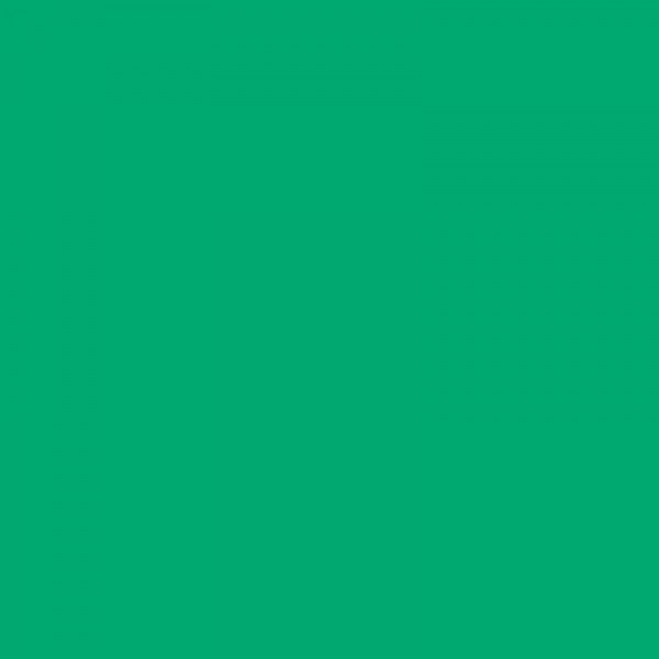 Crayon de couleur 162 vert phtalo clair aquarellable Albrecht Dürer Faber-Castell
