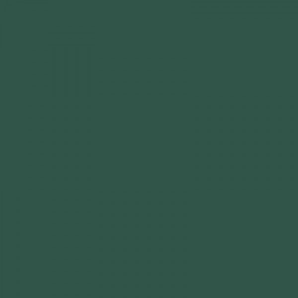 Crayon de couleur 165 vert genévrier Albrecht Dürer Faber-Castell