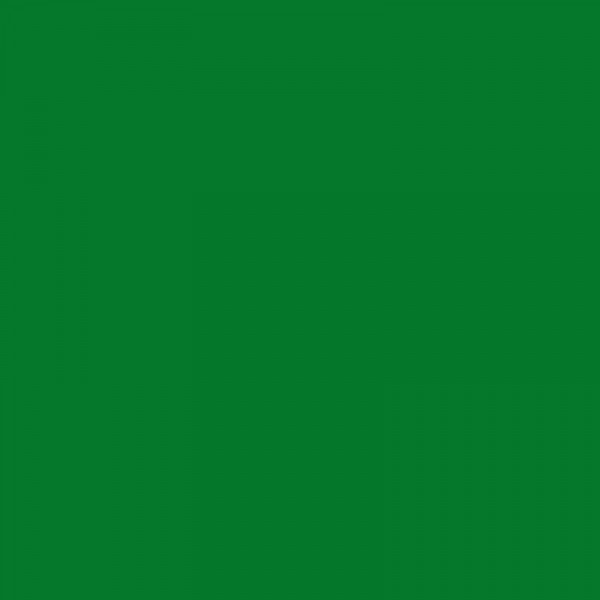 Crayon de couleur 266 vert permanent aquarellable Albrecht Dürer Faber-Castell