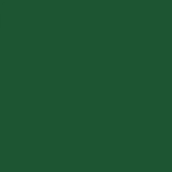 Crayon de couleur 167 vert permanent olive aquarellable Albrecht Dürer Faber-Castell
