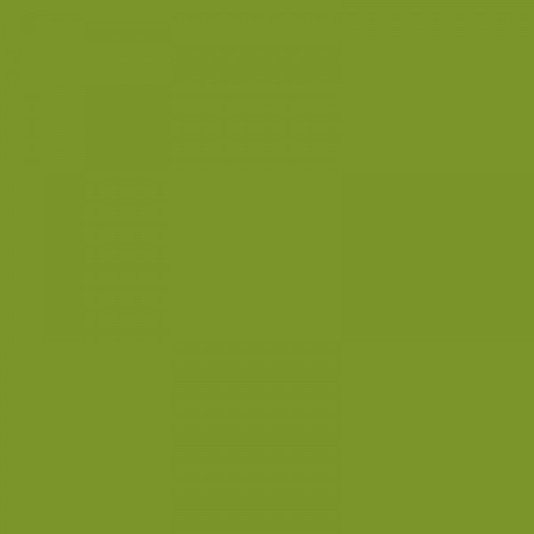 Crayon de couleur 168 terre verte jaune aquarellable Albrecht Dürer Faber-Castell