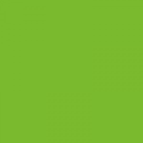 Crayon de couleur 171 vert clair aquarellable Albrecht Dürer Faber-Castell