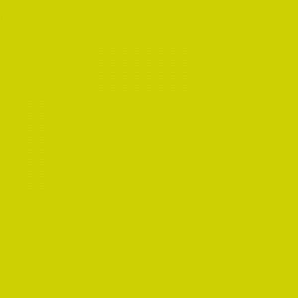 Crayon de couleur 205 jaune citron cadmium aquarellable Albrecht Dürer Faber-Castell