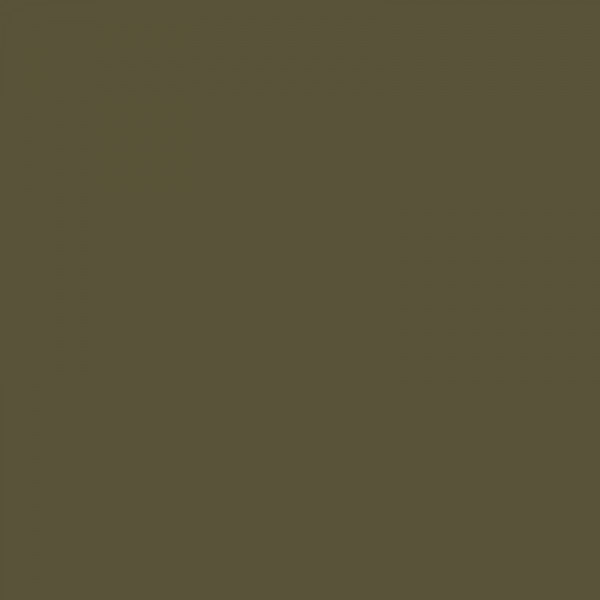 Crayon de couleur 173 vert olive jaune aquarellable Albrecht Dürer Faber-Castell