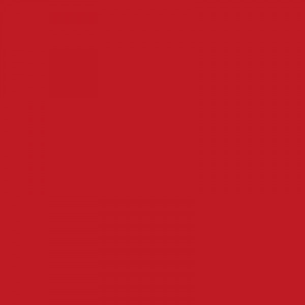 Crayon de couleur 223 rouge profond aquarellable Albrecht Dürer Faber-Castell