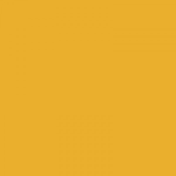 Crayon de couleur - Jaune de cadmium foncé - 108 - Polychromos - Faber-Castell