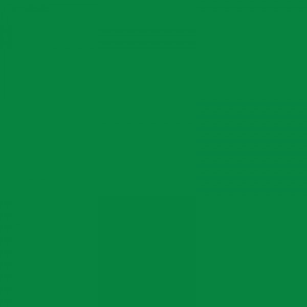 Crayon de couleur - Vert permanent - 266 - Polychromos - Faber-Castell
