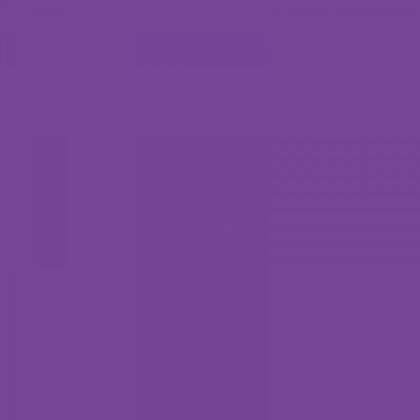 Crayon de couleur - Violet - 138 - Polychromos - Faber-Castell