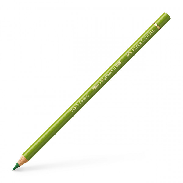 Crayon de couleur Terre verte jaunâtre Polychromos faber-Castell | Surdiscount