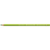 Crayon de couleur - Vert de Mai - 170 - Polychromos - Faber-Castell