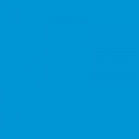 Epson T0712 Cyan cartouche d'encre modèle guépard
