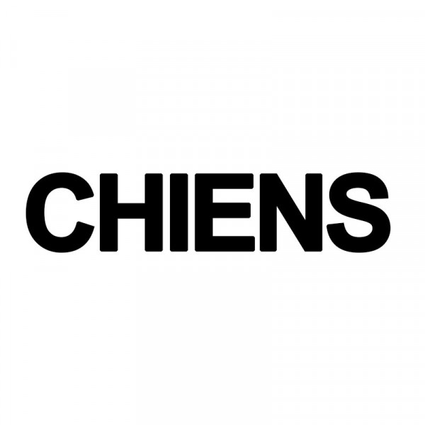 Stickers autocollants animaux chiens 50 pièces Apli Kids