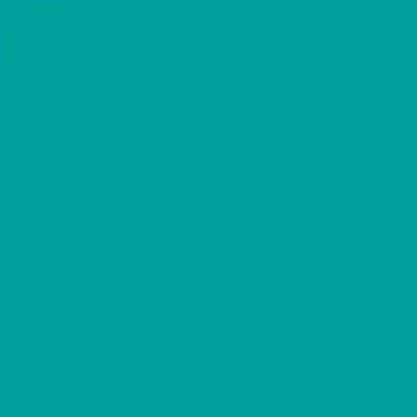 Cahier - A4 (21x29,7cm) - Petits carreaux - 160 pages - couverture en polypro turquoise - à spirale - Notebook Miquelrius