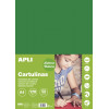 photo-Carton de couleur vert foncé A4 170 g 50 feuilles - Apli
