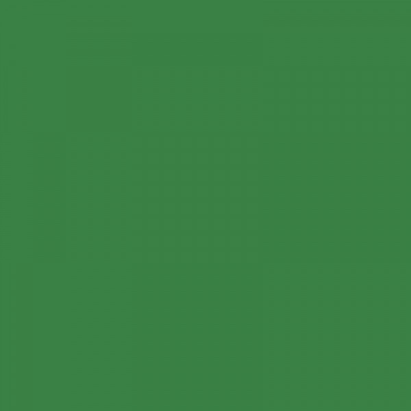 Carton de couleur vert foncé A4 170 g 50 feuilles - Apli