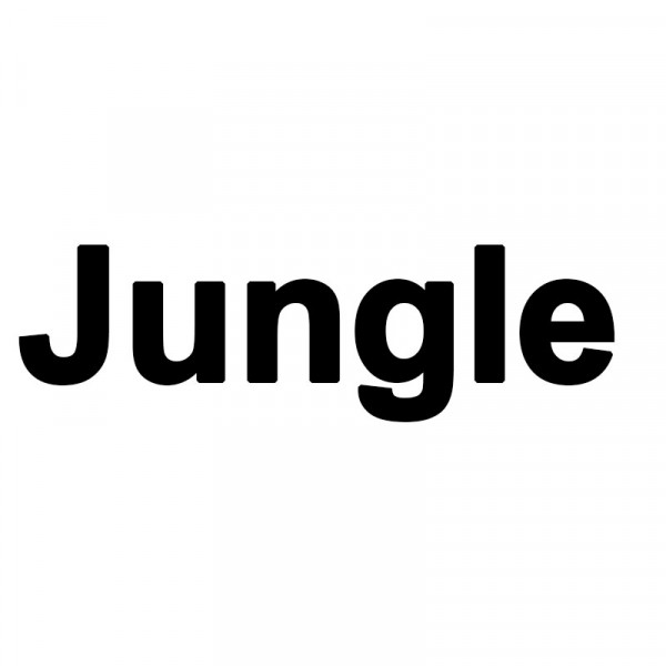 Livre de coloriage enfant animaux de la jungle Aqua Fun Apli Kids