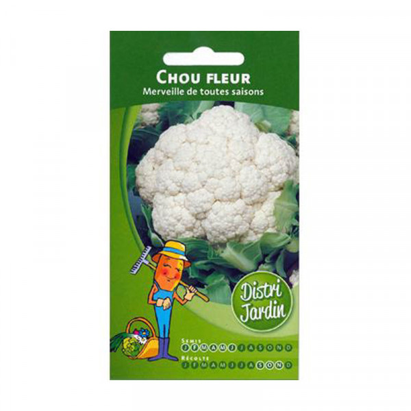 Sachet de graines de chou fleur