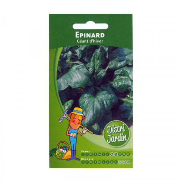 Sachet de graines d'épinard géant d'hiver