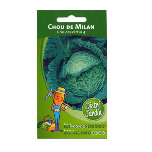 Sachet de graines de chou fleur de Milan