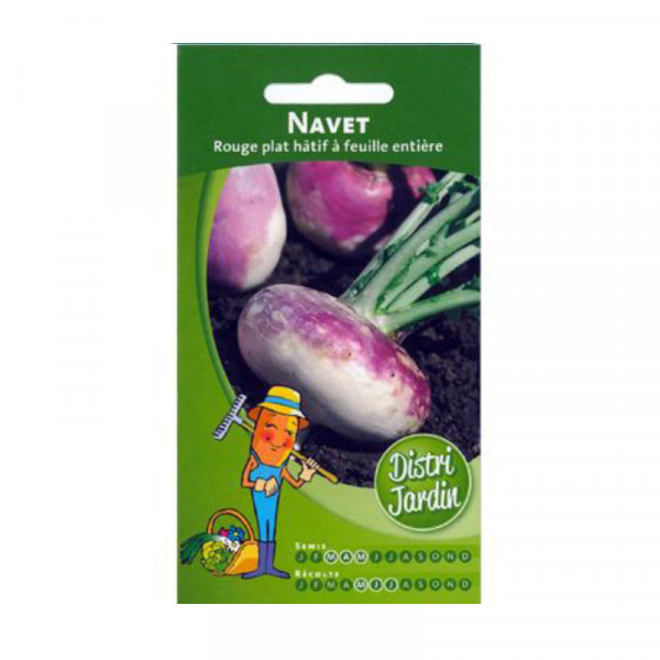 Sachet de graines de navet de Milan à collet rose