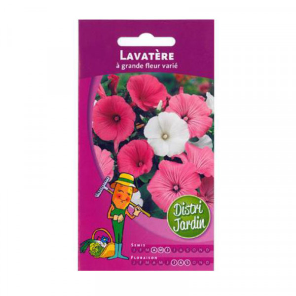 Sachet de graines de fleurs lavatère
